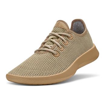 Baskets Allbirds Tree Runner Homme Beige | FR4984DN