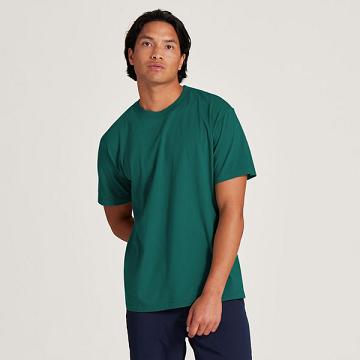 T Shirts Allbirds Allgood Coton Homme Turquoise | FR4757GL